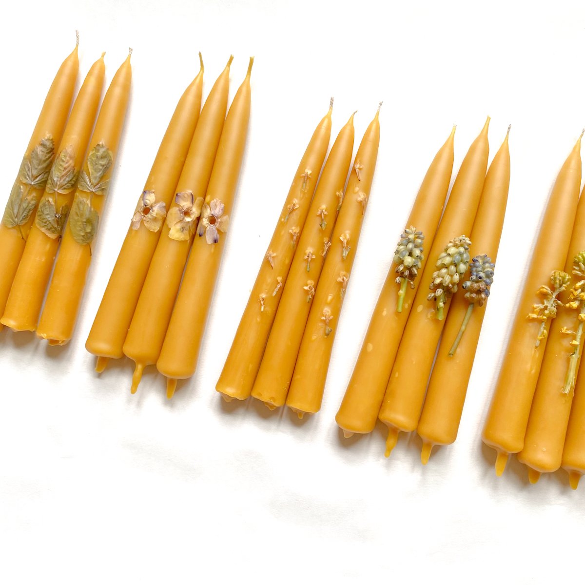 Fortune Taper — Beeswax Candles by Alysia Mazzella